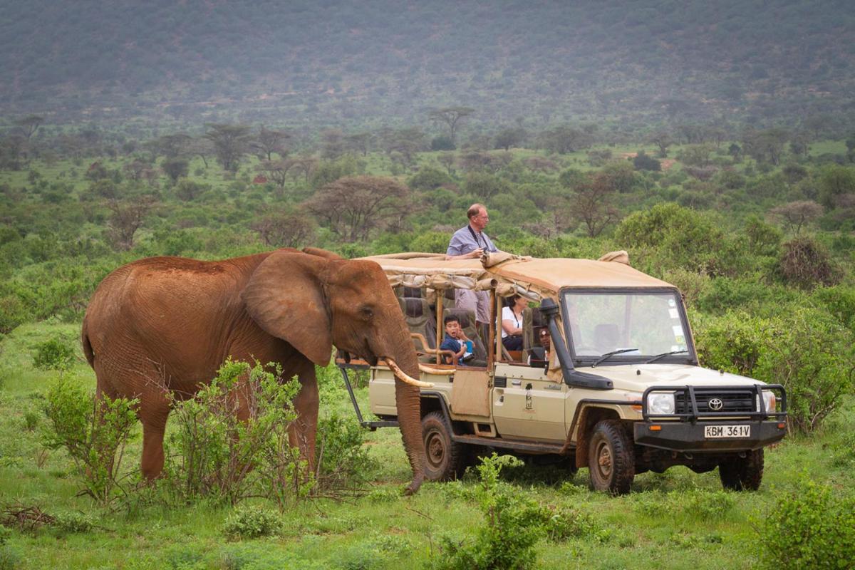 Elephant Bedroom Camp - Samburu Archers Post Exterior photo